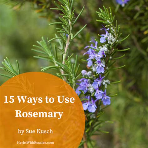 Rosemary Benefits