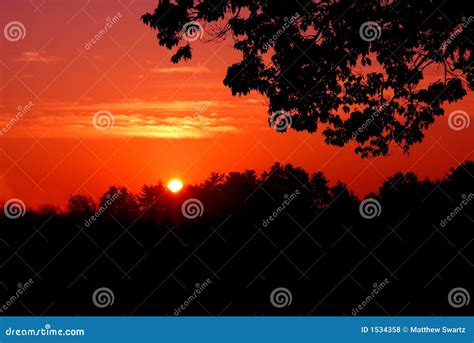 Red sunset silhouette stock photo. Image of colorful, evening - 1534358