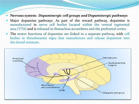 Antiparkinson's Drugs