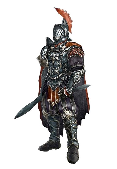 Male Human Fighter Gladiator - Pathfinder PFRPG DND D&D 3.5 5E 5th ed ...