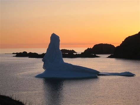 Iceberg Alley Bed & Breakfast - UPDATED 2018 Prices, Reviews & Photos ...