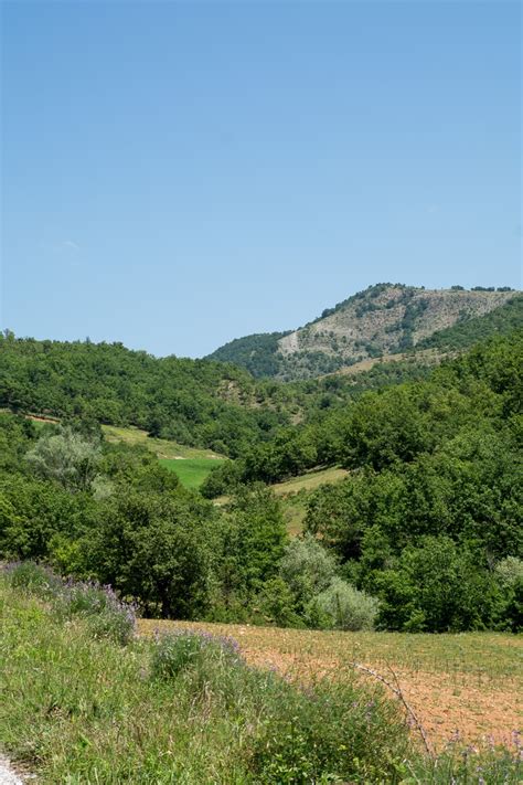 Rhodope Mountains | Eastern Macedonia - Thrace