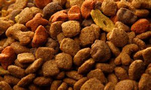 Pet Food Ingredients | US Commodities