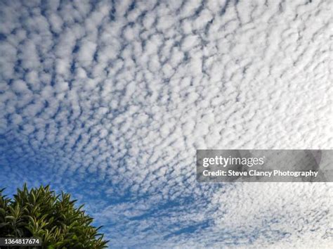 2,125 Altocumulus Clouds Stock Photos, High-Res Pictures, and Images ...