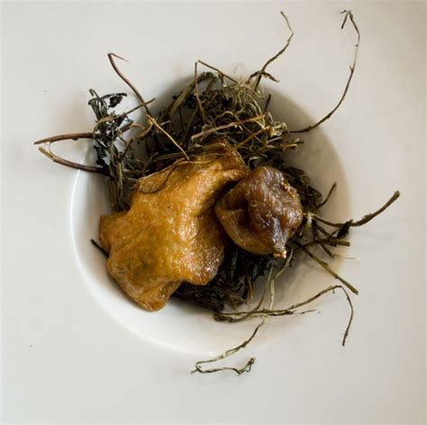 Vegan Ortolan – The Center for Genomic Gastronomy