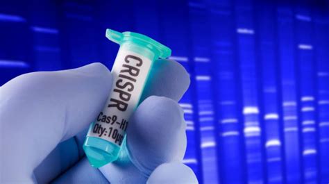 CRISPR Technology: What Preppers Need to Know - Mind4Survival