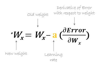 Artificial Neural Network | Beginners Guide to ANN