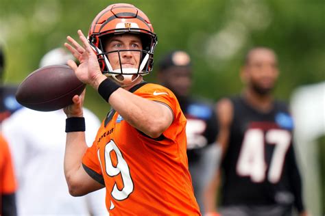 Bengals backup QB problem has fans dreaming of Andy…