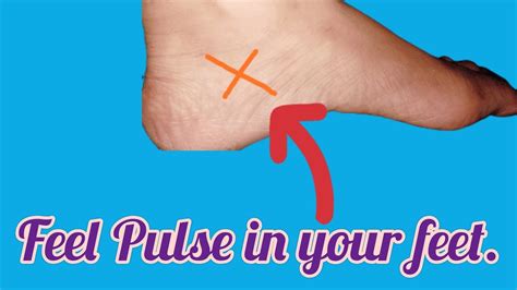 How to Feel Pulse in your Feet 💊🩺 How to check heart beat - YouTube