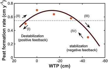 Average peat formation rate (cm y⁻¹) across the peat surface in... | Download Scientific Diagram