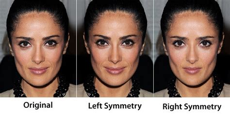 Face Symmetry of Celebrities | Other, We and Beauty