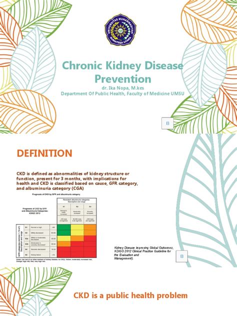 Chronic Kidney Disease Prevention | PDF | Chronic Kidney Disease ...