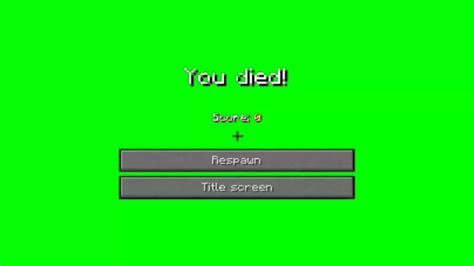 Minecraft you died screen