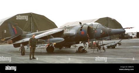 Gr3 harrier falklands 1984 hi-res stock photography and images - Alamy