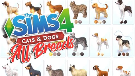 Sims 4 cats and dogs breeding - rasheavy