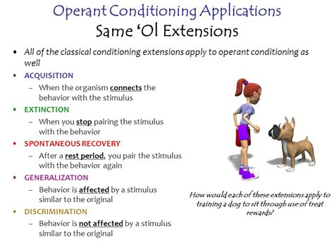 How To Train Dog: how to train a dog to sit using operant conditioning