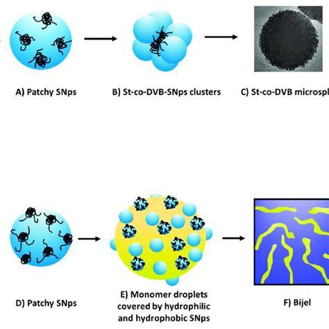 (PDF) Silica-Supported Styrene-Co-Divinylbenzene Pickering Emulsion Polymerization: Tuning ...