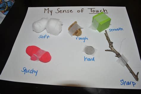 Five senses::touch Trendvee | Creation preschool craft, Preschool crafts, Senses preschool