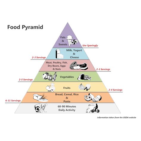 Simple Food Pyramid Label