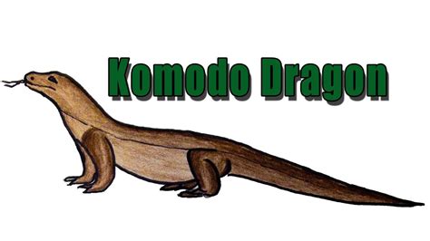 How to Draw a Komodo Dragon - YouTube - YouTube