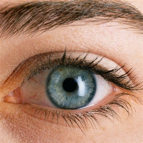 Signs & Symptoms of Shingles in The Eye | Healthy Living