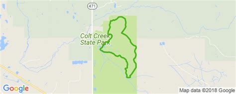 Colt Creek Trail Mountain Biking Trail - Lakeland, FL