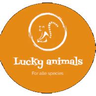 Lucky animals | Koekelare
