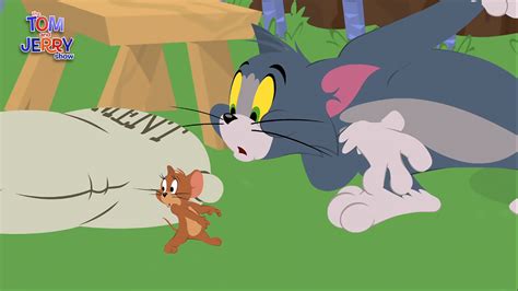 Tom And Jerry Cartoons Wallpapers