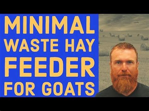 25 DIY Goat Hay Feeder Plans You Can Build Today | Goat hay feeder, Hay ...