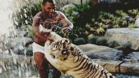 La escalofriante historia de Mike Tyson con un Tigre que tenía de mascota - MDZ Online