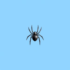 🕷️ Spider emoji Meaning | Dictionary.com