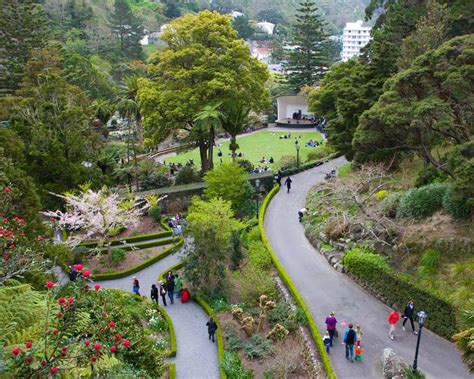 Wellington Botanic Gardens | GardensOnline