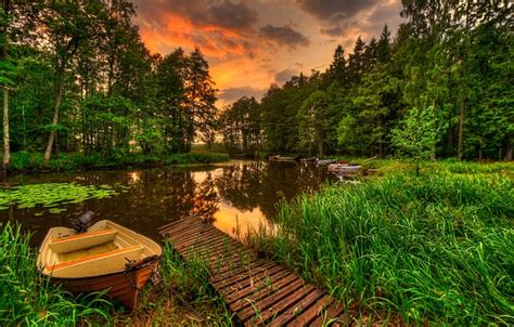 Wallpaper forest, the sky, grass, water, landscape, sunset, nature ...