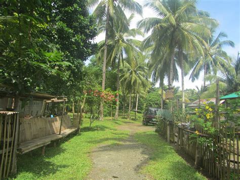 LEXICAL CROWN: A GLIMPSE OF MAASIN CITY