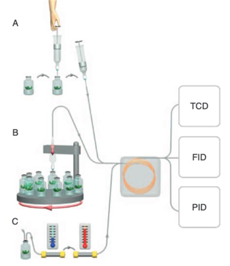 Working of different types of gas chromatography sample collection... | Download Scientific Diagram