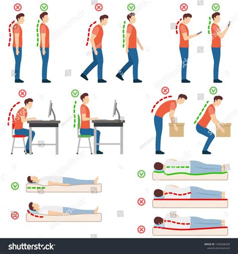 Good posture. Correct and incorrect human poses. Neutral spine. Man standing, walking, looking ...