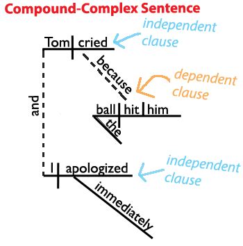 The Compound-Complex Sentence