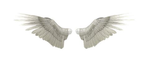 Angel Wings PNG High-Quality Image