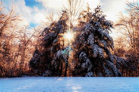 Winter sunset in the woods 3 Photograph by Lilia D - Fine Art America