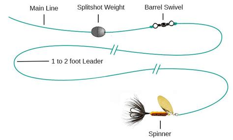 Spinner Fishing for Trout: Tips and Techniques