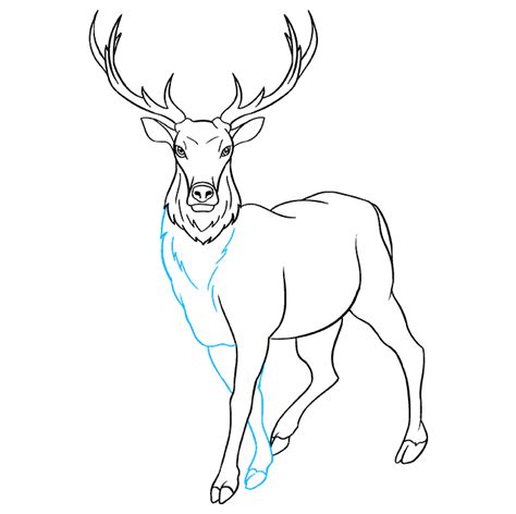 How to Draw an Elk - Really Easy Drawing Tutorial