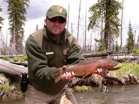 Yellowstone Cutthroat Trout - Gardiner, Montana