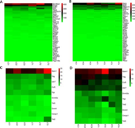 The detection of imprinted genes and DNA methylation–related gene ...