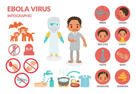 Infografis Infeksi Virus Ebola Ilustrasi Stok - Unduh Gambar Sekarang - Ebola, Penyebaran ...