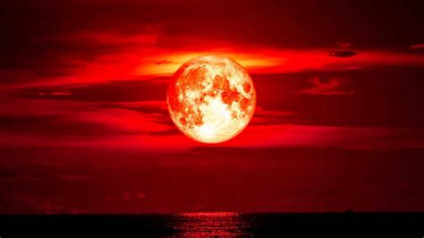 Catch a strawberry moon eclipse in North America this Friday