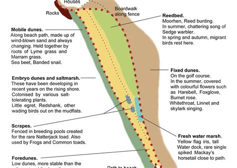 Wirral Wildlife Blog: Red Rocks Nature Reserve