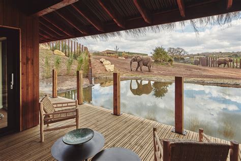 Lodges With Elephants At West Midland Safari Park | The Yorkshireman