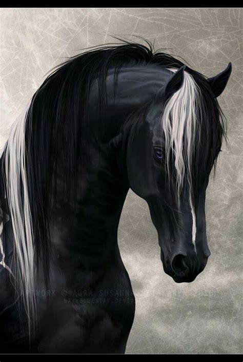 Black Horse | Pretty horses, Horses, Most beautiful horses