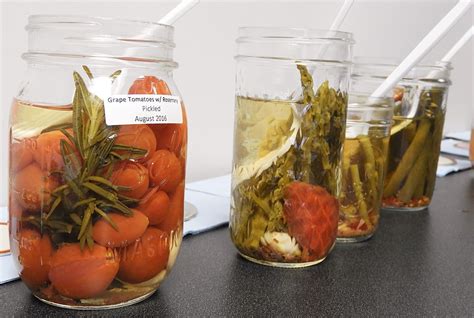 How To Pickle Food: Pickling Food Preservation Examples | Make Food Stay