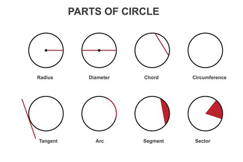 different parts of a circle. Radius, diameter, circumference, chord, arc, tangent, segment and ...